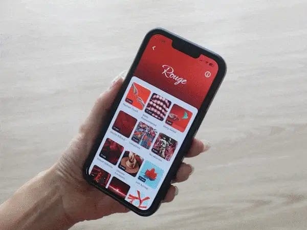 In der App eine ROUGE-Session wählen.