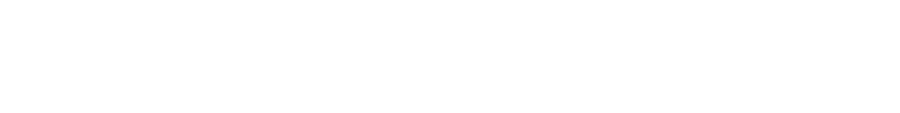 neuroVIZR